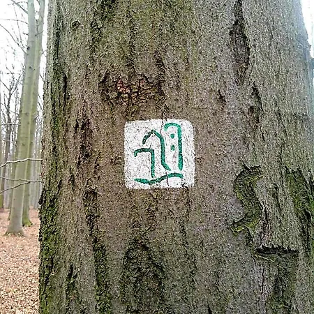 Possendorf מלון 3*