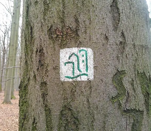 Possendorf 3* فايمر